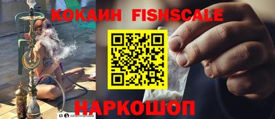 ешки Кингисепп