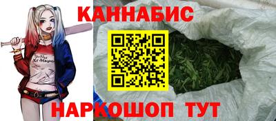 ешки Кингисепп