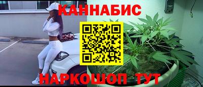 ешки Кингисепп