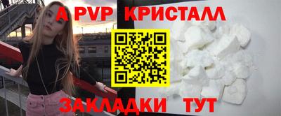 ешки Кингисепп