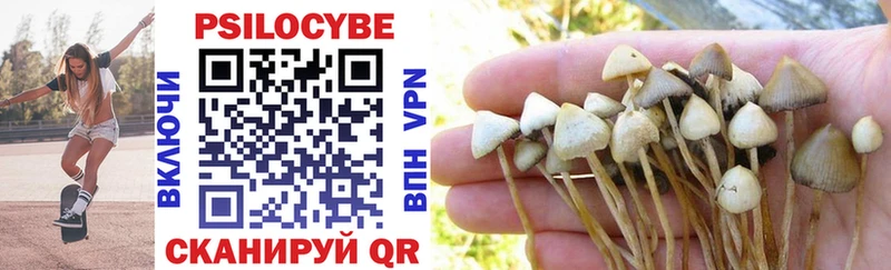 Псилоцибиновые грибы MAGIC MUSHROOMS  маркетплейс клад  Элиста 