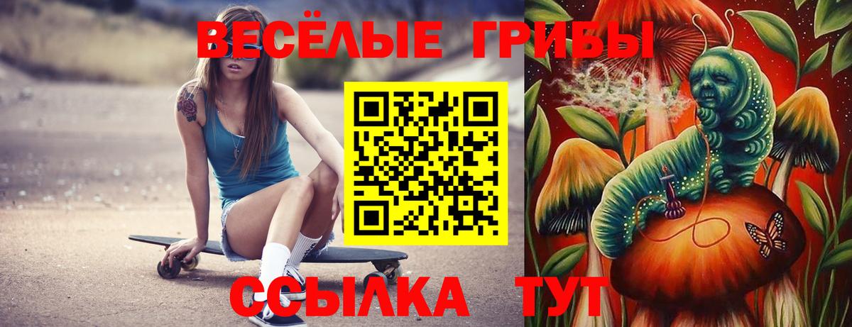 Галлюциногенные грибы Psilocybe Элиста