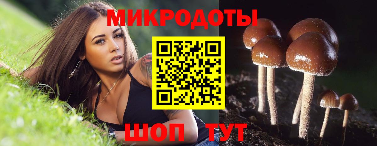 Галлюциногенные грибы Psilocybe  Псилоцибиновые грибы ЛСД  Элиста  Вход с VPN 